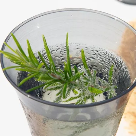 La Batisse En Blanc * Golfe-Juan