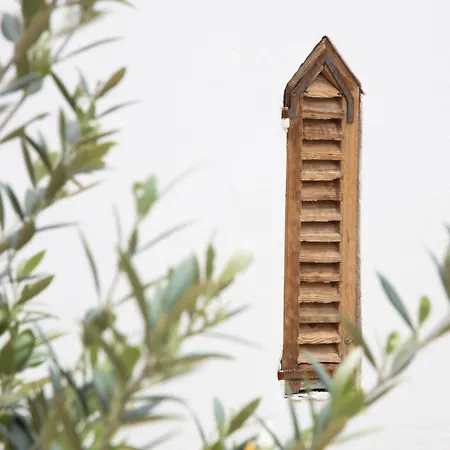 La Batisse En Blanc Ξενοδοχείο Golfe-Juan