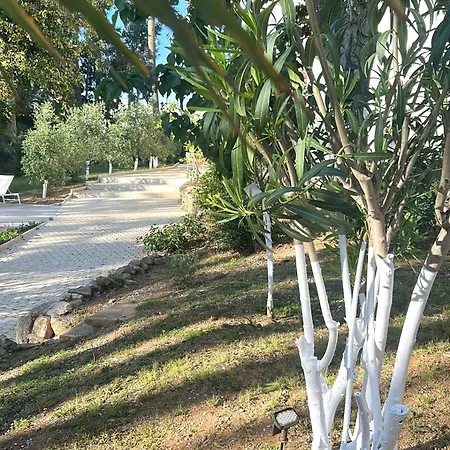 酒店 La Batisse En Blanc 戈尔夫瑞昂