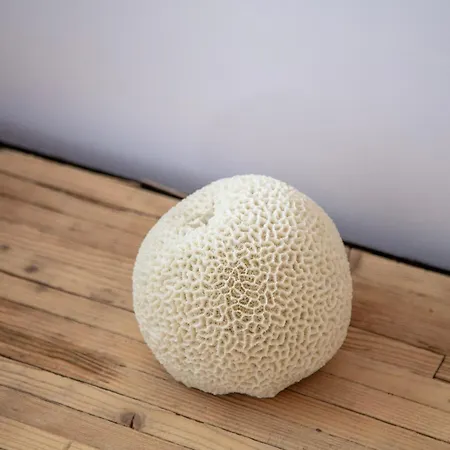 Hotel La Batisse En Blanc *